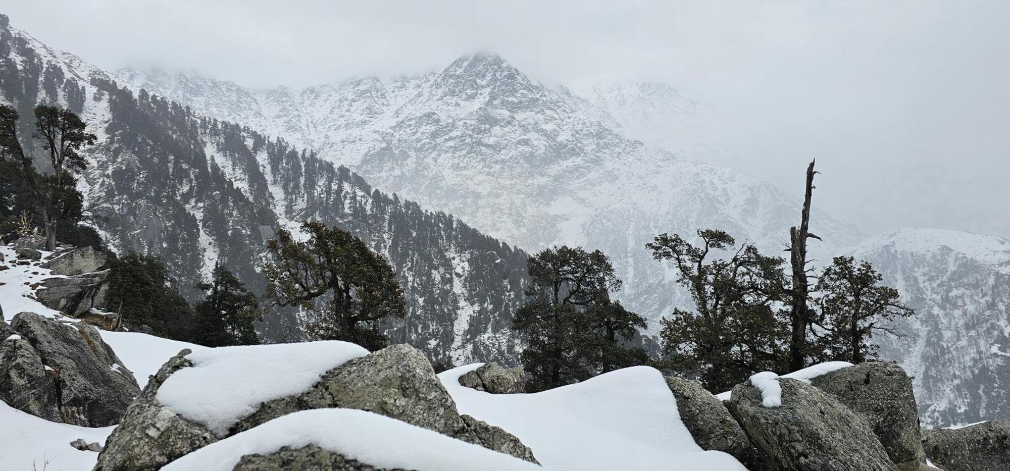 Hotel Starwud Kotagge McLeod Ganj Eksteriør billede